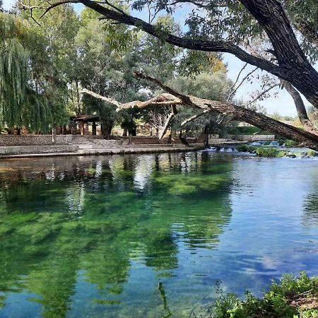 Guest House Green River Любушки Экстерьер фото
