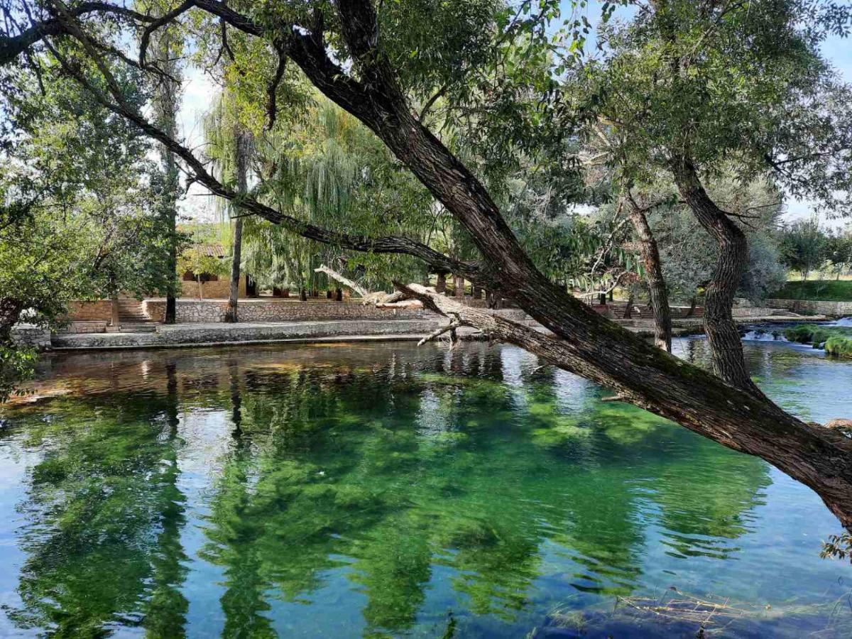 Guest House Green River Любушки Экстерьер фото