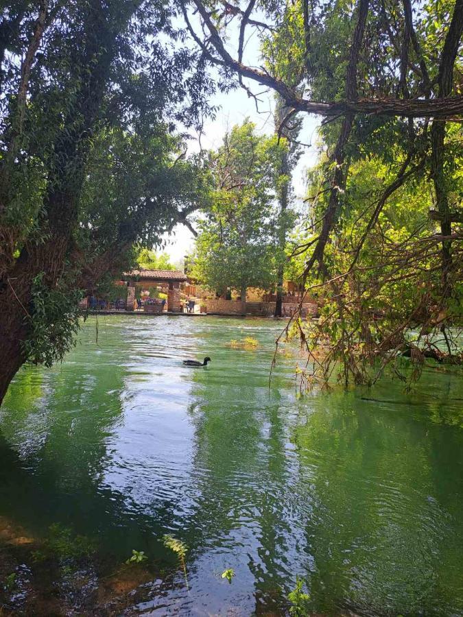 Guest House Green River Любушки Экстерьер фото